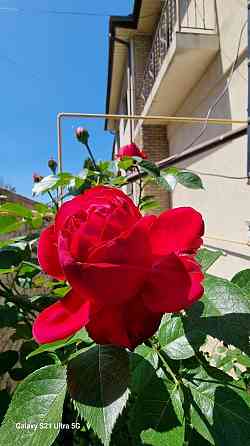 Свет! Есть! Всегда! Новострой. 2 х к кв. Левый берег. Риелторы не звон Дніпро