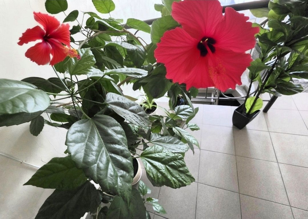 Свет! Есть! Всегда! Новострой. 2 х к кв. Левый берег. Риелторы не звон Дніпро - зображення 4