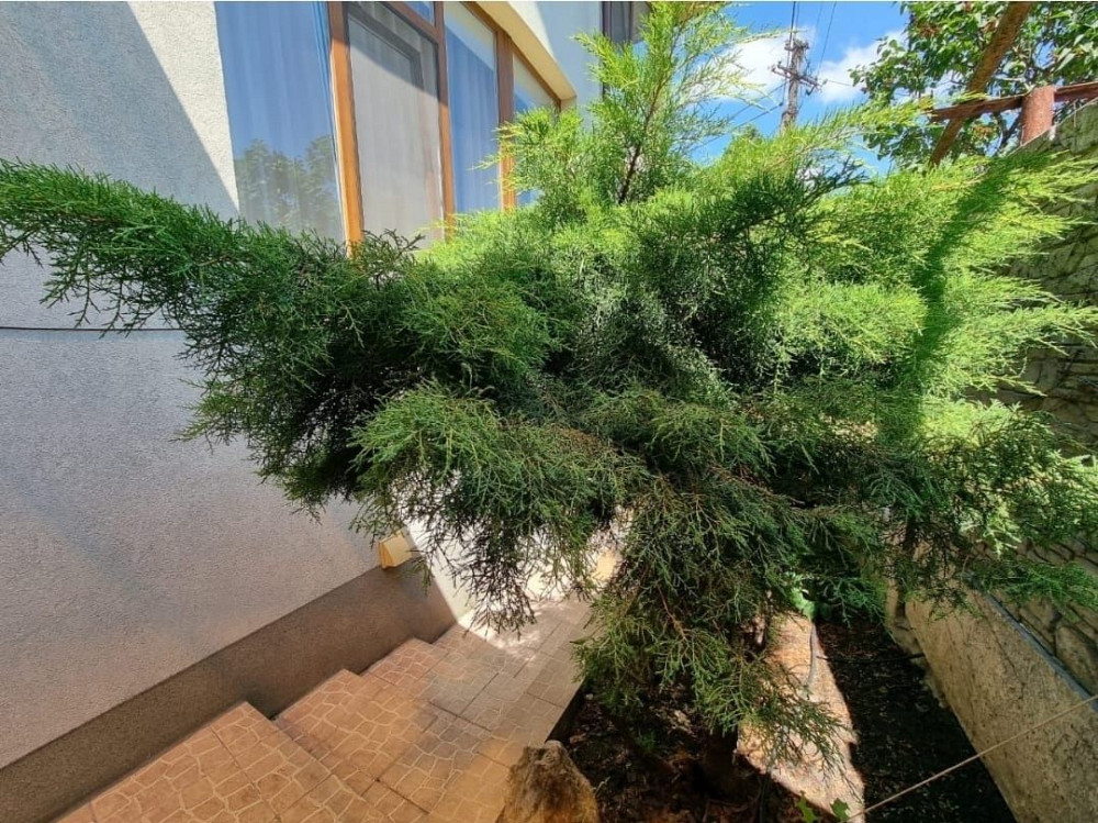 Свет! Есть! Всегда! Новострой. 2 х к кв. Левый берег. Риелторы не звон Дніпро - зображення 2