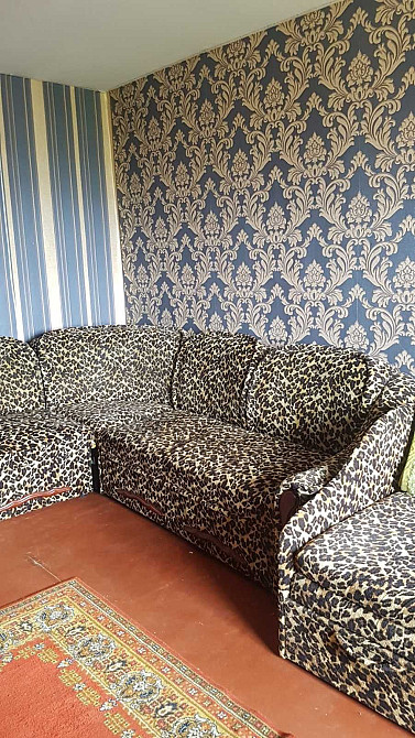 2 х кімнатна кв. власна вул.Заболотного вулІ..Сірко Великие Новоселки - изображение 1