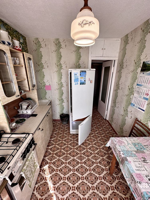 Самарсьский Придніпровськ Івана баграного Агнії барто данченко Дніпро - зображення 2