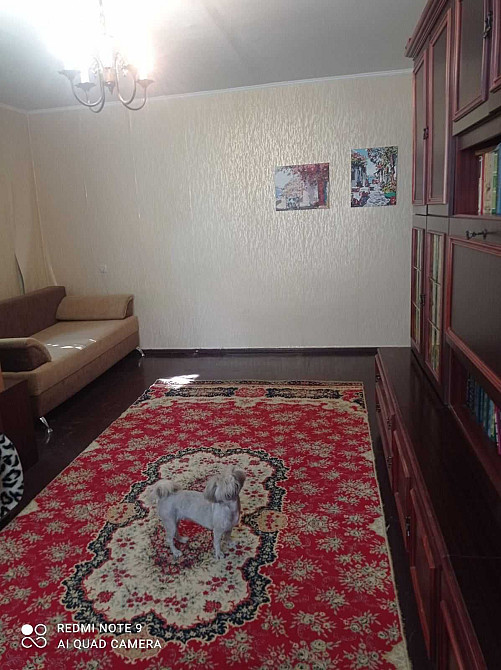 + Продам 1 ком.квартиру ул.Романтическая ост.Рязанская 12000 дол. Запорожье - изображение 3