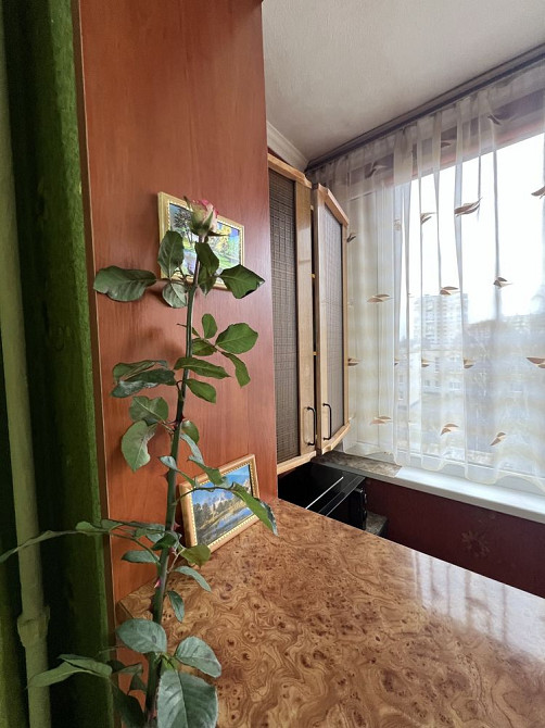 Оренда ‼️1 кімнатна квартира Біла Церква - зображення 3