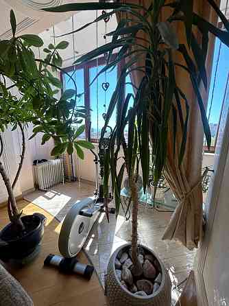 Роскошная 3 Комн. квартира с террасой в элитном доме на Фонтане Одесса