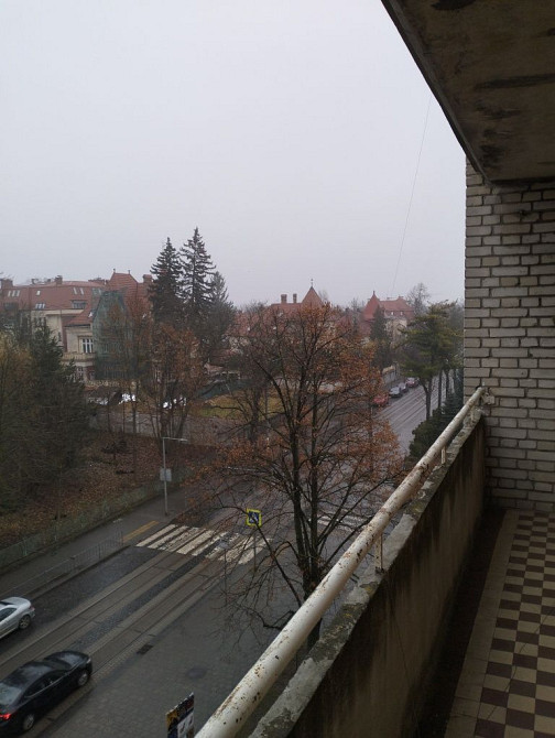 Оренда 3х кім Коновальця ( Алтайські озера) Львов - изображение 7