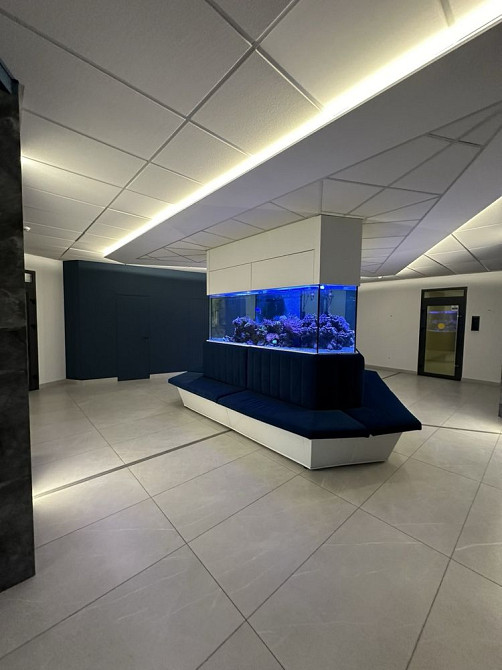 Сдам квартиру от собственика Одесса - изображение 1