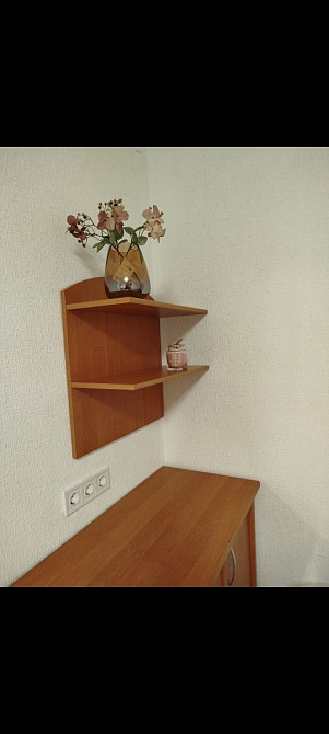 Власник оренда 1к після капремонту Кавєріна Робоча Центр 5 хвилин Dnipro - photo 6