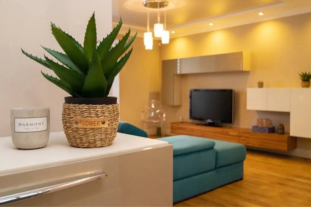 Оренда центральна вул. Шевченка Івано-Франківськ - зображення 3