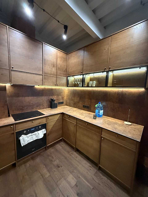 Оренда 2к квартири  ЖК Новодворянський (р-н парка Шевченка) Дніпро - зображення 3