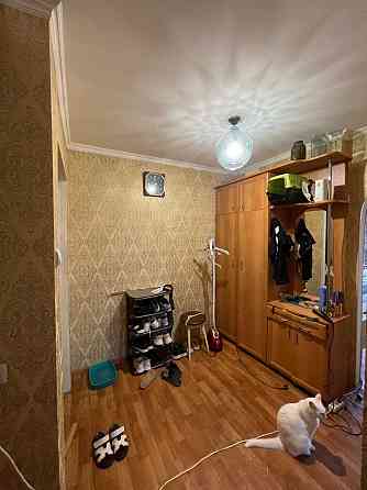 Чудова квартира з газовим опаленням в 5 хвилинах від міста Rai-Oleksandrivka