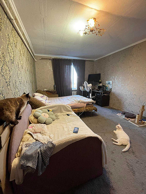 Чудова квартира з газовим опаленням в 5 хвилинах від міста Rai-Oleksandrivka - photo 8