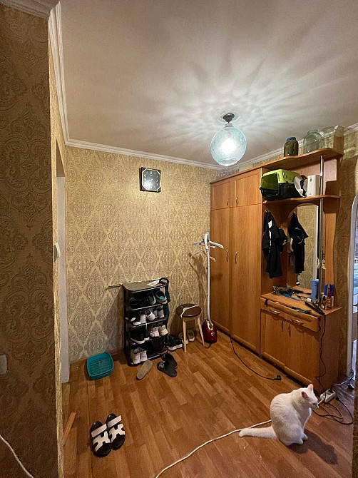 Чудова квартира з газовим опаленням в 5 хвилинах від міста Rai-Oleksandrivka - photo 4