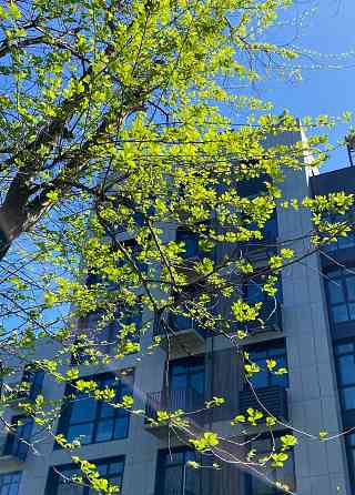 Продаж квартири 82м2 в жк.Forest Hill- у парку! Днепр