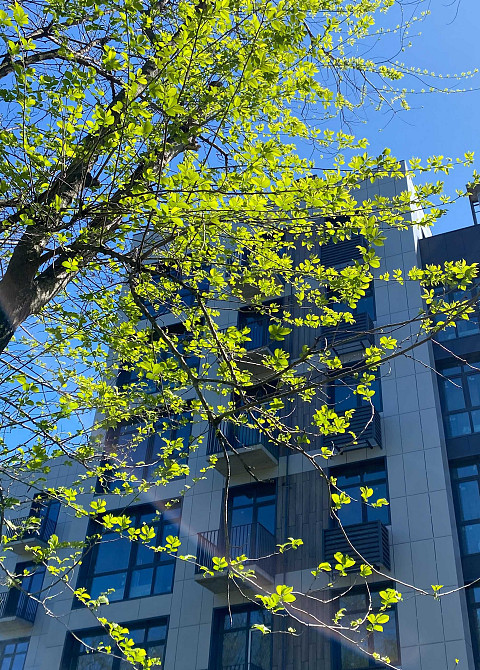 Продаж квартири 82м2 в жк.Forest Hill- у парку! Днепр - изображение 5