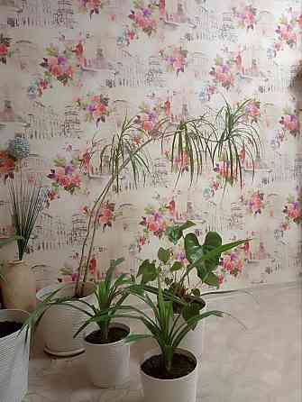 Р-он Березового Скверу, пр-т В. Грицаєнка, 2-кімн. квартира. Poltava