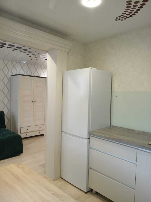 Сдам 2-ком Левый Берег евроремонт, мебель и техника. СРОЧНО! Kam`ianske (Zaporizka obl.) - photo 8