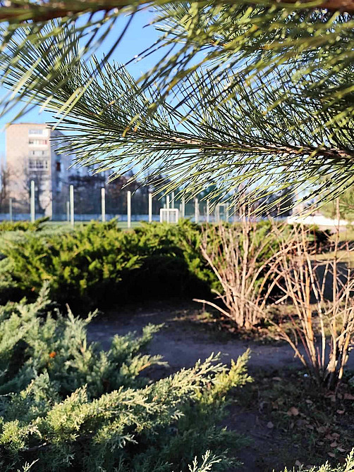 Ціна вниз! Водоканал  Квартира-інвестиція! Kremenchuk - photo 2