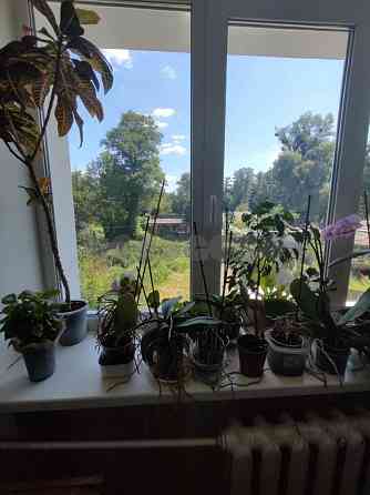 Продаж  квартири в Дніпровському районі! Поряд Озеро, Ліс! Киев