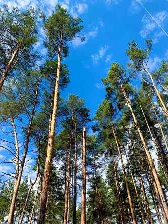 Продам двокімнатну квартиру в Гостомелі - біля лісу та парку! Гостомель