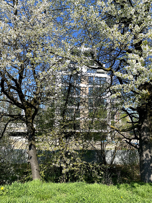 Продаж квартири на озері ЖК Бульвар Європейський Івано-Франківськ - зображення 2