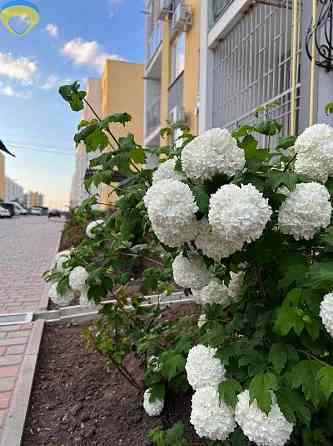 В продажу нова 1-к  квартира  - ЖК 7 Небо Авангард