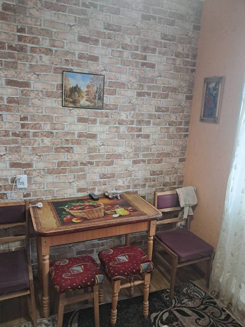 Можна з тваринками Оренда 1к квартири Раково Хмельницький - зображення 4