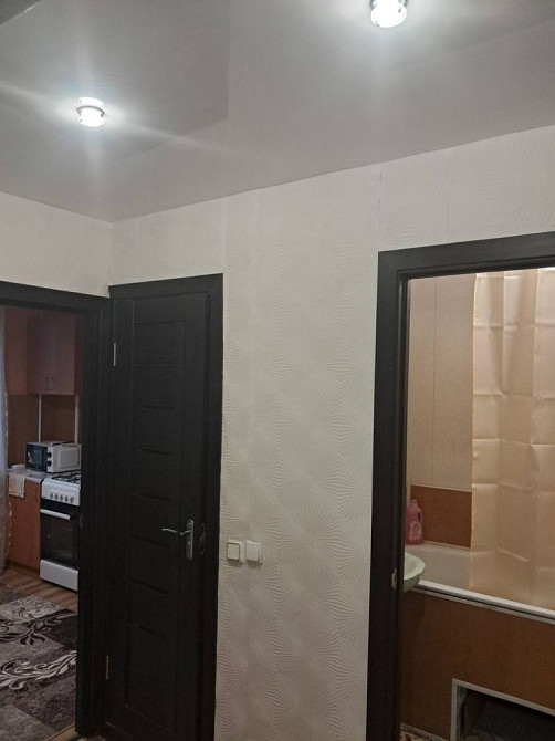 Можна з тваринками Оренда 1к квартири Раково Хмельницький - зображення 5