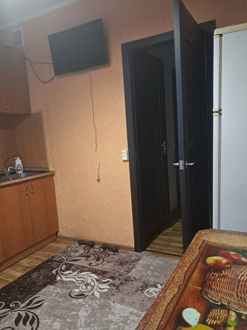 Можна з тваринками Оренда 1к квартири Раково Хмельницький - зображення 2