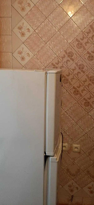 Оренда Газ плита Тичини Миколайчука Бучми Можна з тваринками SF Київ - зображення 5