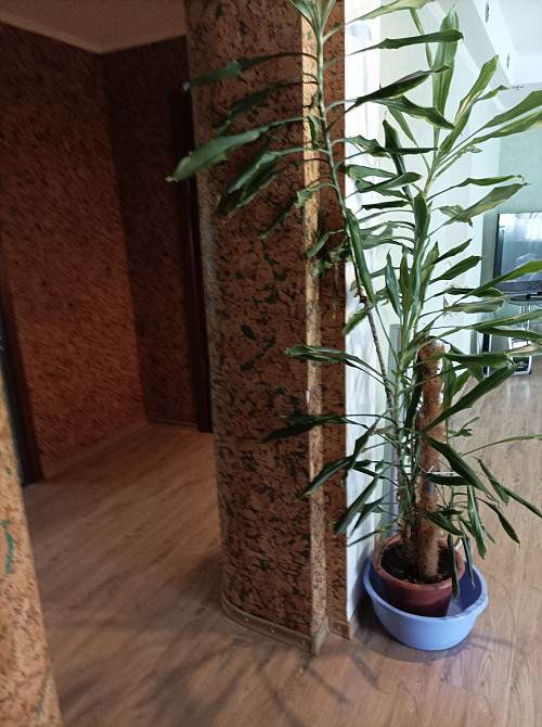 3 кімнатна квартира в центрі Кропивницкий - изображение 7