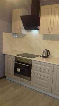 Власник. Сонячні батареї.. Київ