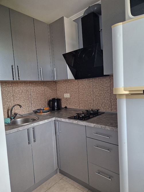 1к Генерала Пушкина 26а, Подстанция, небольшое животное обсуждается Днепр - изображение 5