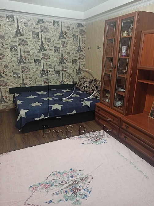 Оренда 1 к. кв Павличка/Рокосовського/Пріорка/метро Мінська Киев - изображение 4