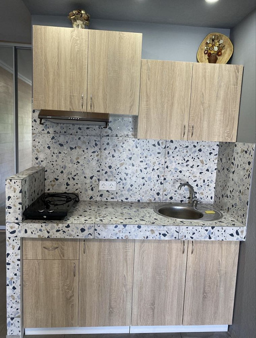 Оренда 1 кімн квартири в с. Софіївська Борщагівга, можна з тваринками Софиевская Борщаговка - изображение 1