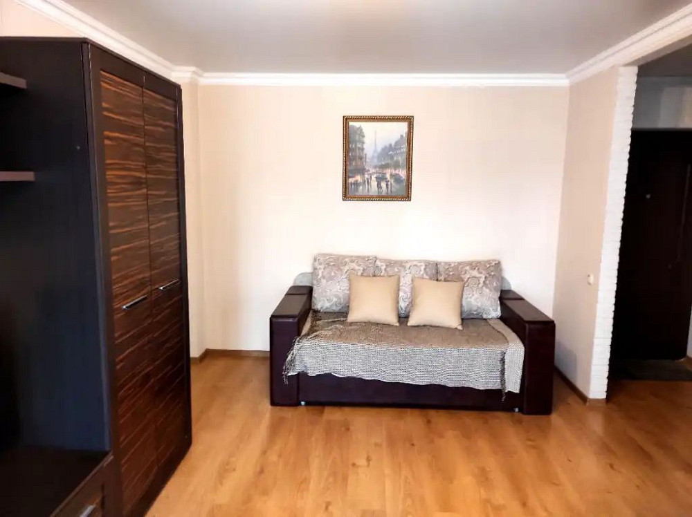 Оренда 1 кімн кв вул. Акінфеева / парк Шевченка Дніпро - зображення 4