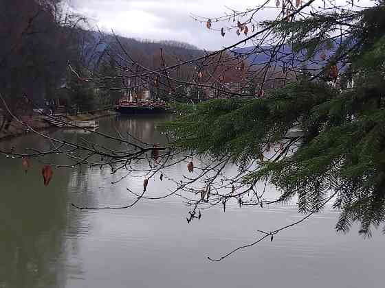 Довгострокова оренда квартири в Сонячному Закарпатті Ясна Поляна