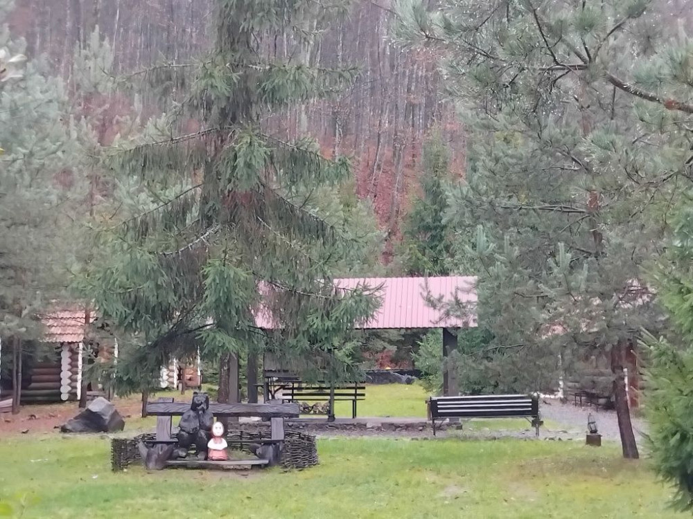 Довгострокова оренда квартири в Сонячному Закарпатті Ясна Поляна - зображення 4