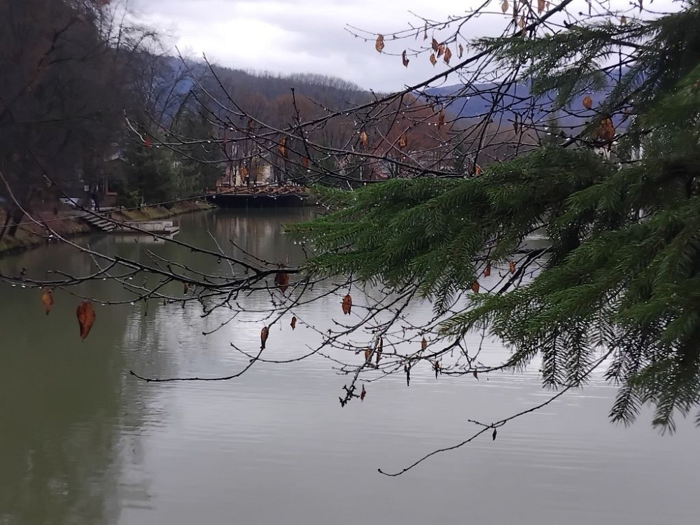 Довгострокова оренда квартири в Сонячному Закарпатті Ясна Поляна - зображення 5