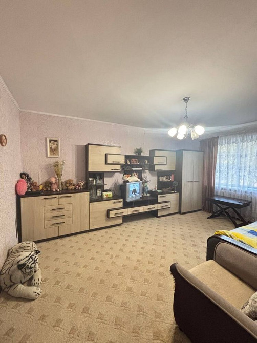 Продаж 4-кімнатної квартири,чешський проєкт, Половки Полтава - зображення 3