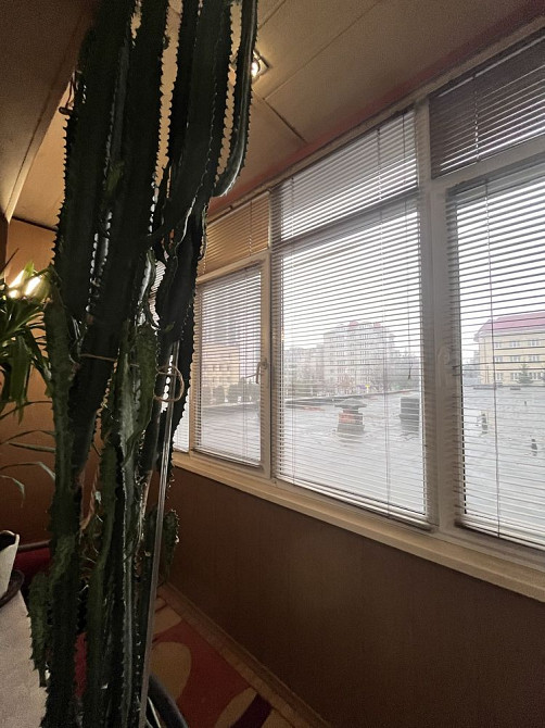 Оренда 2кімн вул. Коновальця Івано-Франківськ - зображення 5