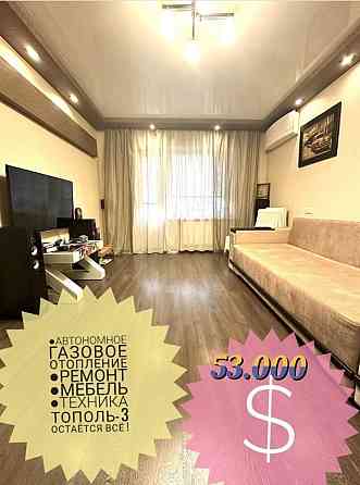 Продам 2х Тополь-3, Кап.ремонт,с мебелью,техникой Дніпро