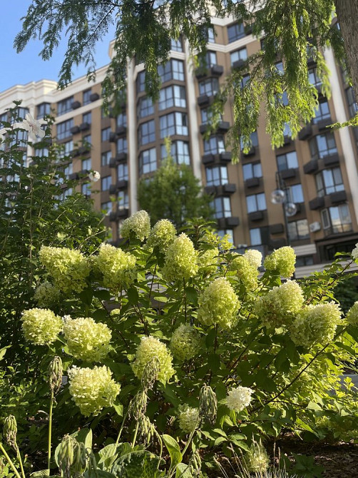 69,1 м2 двокімнатна квартира ЖК Софія Резиденція. 52 000 грн за м2 Софіївська Борщагівка - зображення 4