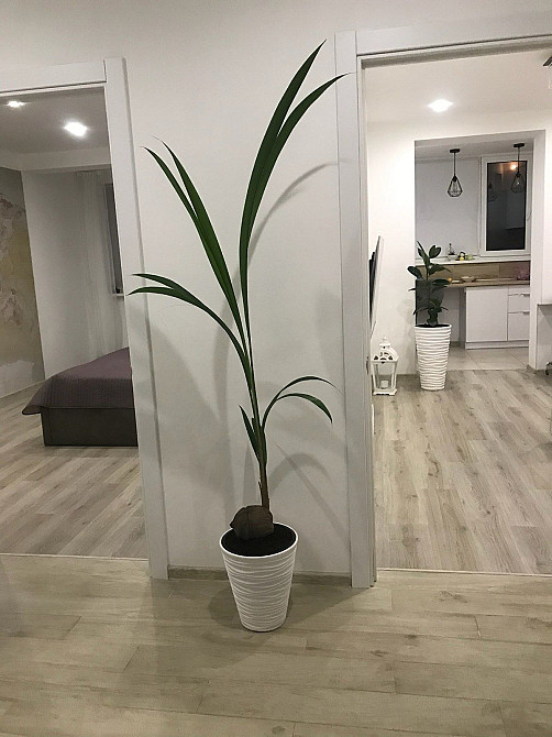 1-кімн в новобудові ЖК Іскринський Харків - зображення 7