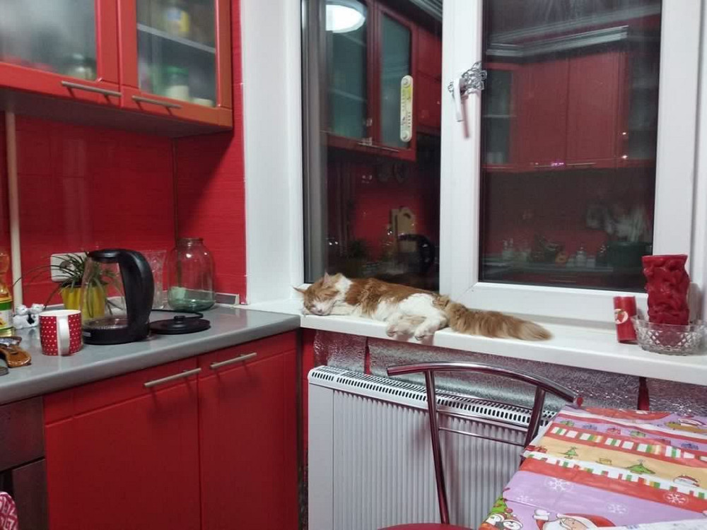 2 кімнатна квартира на Рудані 98 квартал Кривой Рог - изображение 2