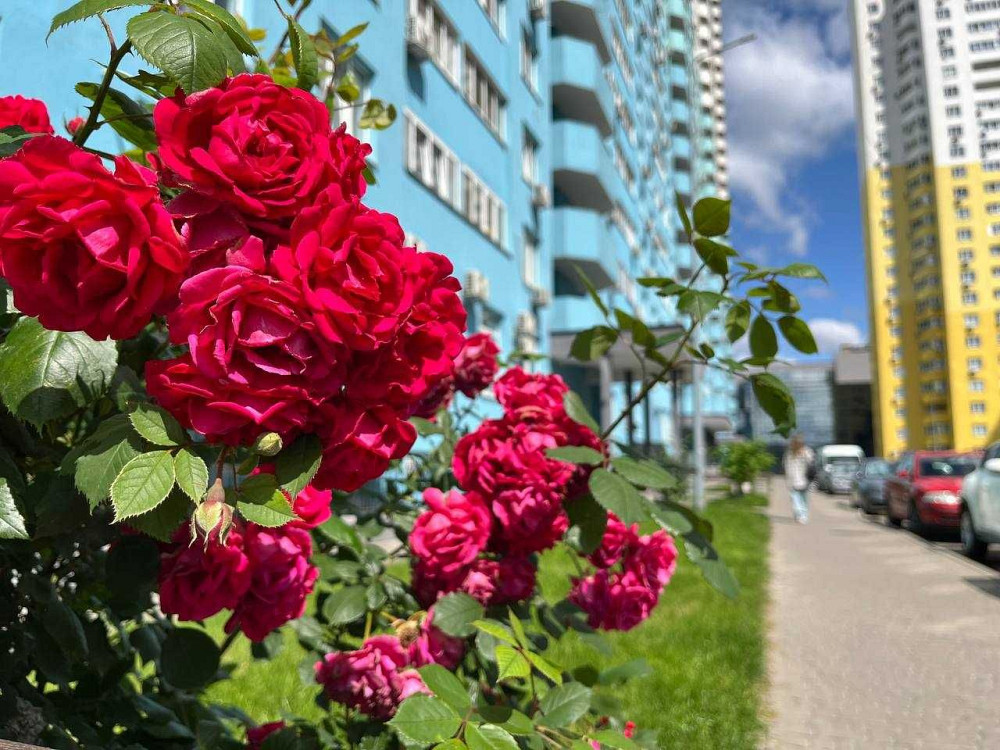 ТОП!! Оренда Здам Квартира 2к! ЖК Одеський бульвар Метро Теремки Київ - зображення 7