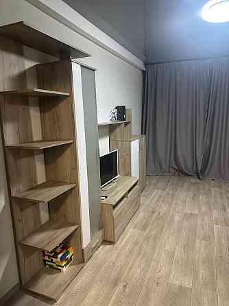 Аренда 1 комн. квартиры район парка Каменское (Запорожская обл.)