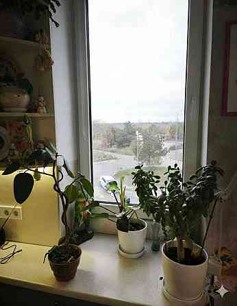 1-кімнатна квартира з ремонтом, 2% оформлення, ГАЗ Bucha