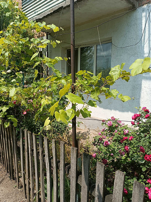 Продаж квартири 3+1 у м.Благовіщенське, Кіровоградскої обл., 58 кв. м. Blahovishchenske (Khersonska obl.) - photo 2