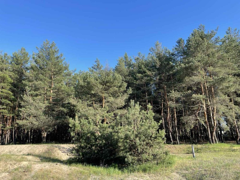 Продам 1 кімнатну квартиру 3 Занасип Kremenchuk - photo 7