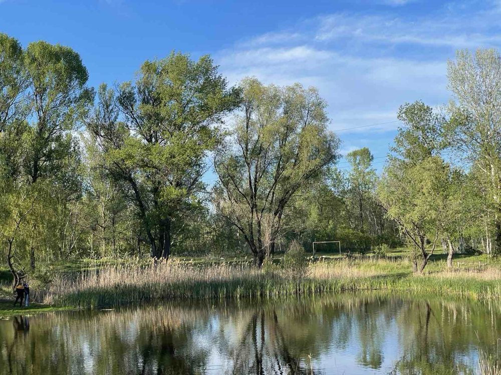 Продам 1 кімнатну квартиру 3 Занасип Kremenchuk - photo 8